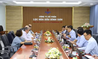 BSR làm việc với tư vấn quốc tế về NCMR NMLD Dung Quất 