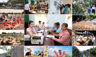 Xây dựng Đảng bộ Ngân hàng Chính sách xã hội Trung ương vững mạnh toàn diện, đồng hành cùng đất nước
