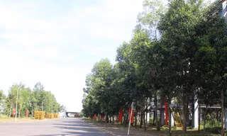 Nhiều giải pháp xử lý bùn đỏ, bảo vệ môi trường ở các dự án bô xít Tây Nguyên
