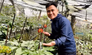 Kỹ sư bỏ công trường về vùng núi giúp bà con phát triển nguồn dược liệu 