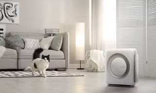 Gợi ý 2 máy lọc không khí tầm trung phù hợp không gian nhỏ 