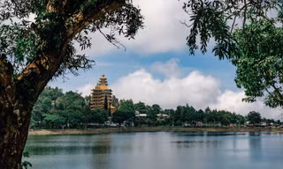 Lên núi tiết xuân sang