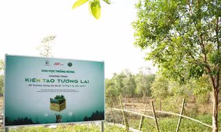 Dự án trồng rừng của J&T Express đạt tỷ lệ sống gần 100%