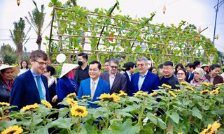 Khai mạc đường hoa xuân lớn nhất phía Tây Hà Nội - Home Hanoi Xuan 2024 tại Mailand Hanoi City