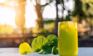 Rau má và những công dụng bất ngờ với người thường xuyên nóng trong, nhiệt miệng