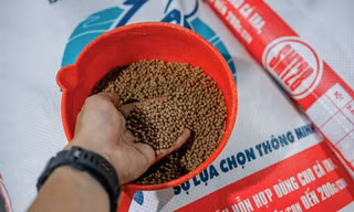 Sao Mai Super Feed - sự lựa chọn thông minh của khách hàng 