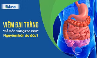 Bệnh đau đại tràng 'dễ mắc nhưng khó lành' - Nguyên nhân do đâu?