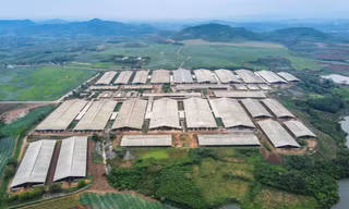 TH true MILK tiên phong chuyển đổi xanh, hướng tới mục tiêu Net Zero