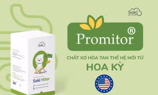 Sức mạnh cải thiện táo bón chỉ sau 72h của Soki Miter đến từ đâu?