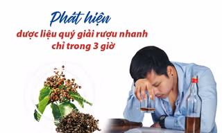 Phát hiện dược liệu quý giải rượu nhanh chỉ trong 3 giờ