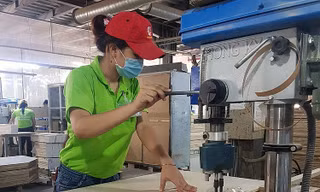 EVFTA có đem lại "cú nhảy vọt" về ưu đãi thuế cho ngành gỗ Việt Nam?