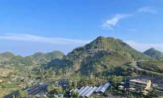 Tự hào vùng trồng Sâm 1700 đạt chứng nhận hữu cơ