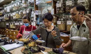Kết hợp kim ngân hoa, cam thảo trong các bài thuốc nâng cao đề kháng