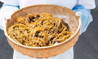 Cơ chế chống oxy hóa của Fucoidan