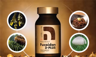 3 tiêu chí chọn Fucoidan Nhật Bản chính hãng nhập khẩu