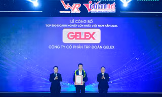 Hệ thống GELEX có 3 doanh nghiệp thuộc top VNR 500