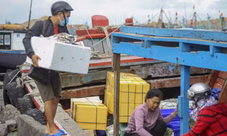“Mang Tết” ra đảo Cù Lao Xanh. Ảnh: Trương Định