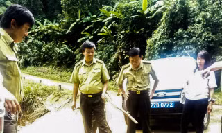 Cá thể khỉ mốc về rừng tự nhiên.