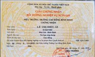 Giấy chứng nhận bồi dưỡng nghiệp vụ sư phạm do Trường CĐ Bình Định cấp không đúng quy định của Bộ GD&ĐT về tiêu chuẩn, điều kiện tham gia dự tuyển viên chức ngành giáo dục.