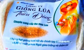 Bao bì giống lúa 'Thiên Đàng".