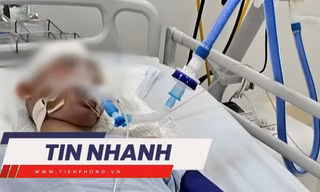 TIN NHANH: Vụ nam sinh lớp 8 bị đánh chết não: Xét xử phúc thẩm vì bị hại kháng cáo toàn bộ bản án