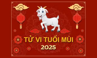 TỬ VI TUỔI MÙI 2025: Tam Tai kìm hãm, khó khăn tứ bề