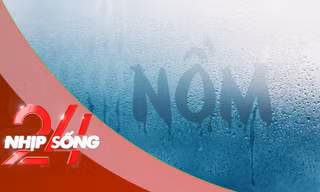 NHỊP SỐNG 24: Hãi hùng cảnh sán bò lổm ngổm dưới da người phụ nữ