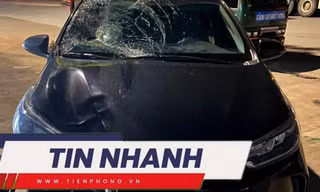 TIN NHANH: Ôtô gây tai nạn chết người, điên cuồng bỏ chạy; Chó becgie xông vào trường cắn 2 học sinh