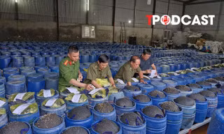 NÓNG 19/4: Bắt 4 chủ cơ sở ngâm giá đỗ bằng hóa chất 'nước kẹo', đã bán 3.500 tấn