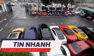 TIN NHANH: Thông tin về dịch bệnh lạ; Xe và vàng của 'Mr Pips' được xử lý ra sao?