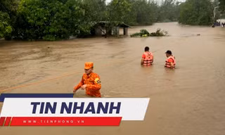 TIN NHANH: Sán dài 6m trong cơ thể cô gái gây sốc; Bão số 2 làm 25 người ở Philippines tử vong