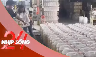 NHỊP SỐNG 24: Dầu chăn nuôi thành dầu ăn cho người: Độc hại cỡ nào?