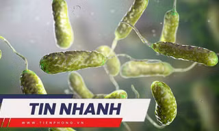 TIN NHANH: Người có lương hưu cao nhất năm 2022 là 140 triệu; 5 người chết vì vi khuẩn ăn thịt người