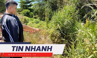 TIN NHANH: Kết luận vụ giết người, phân xác ở TPHCM ngày cận Tết; Chỉ còn 2 năm để cứu trái đất