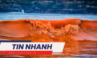 TIN NHANH: 'Thủy triều đỏ' xuất hiện tại Kiên Giang, cảnh báo nguy hiểm