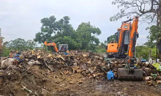 Nghệ An: Thu dọn 'nghĩa địa đầu bò'
