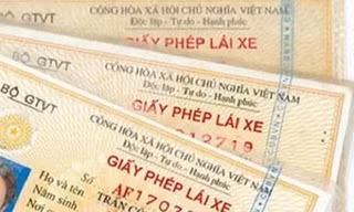 Nghệ An phát hiện hơn 40 tài xế dùng giấy phép lái xe giả