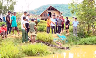 Ảnh minh họa