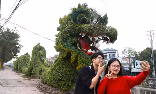 Bất ngờ diện mạo mới của cặp rồng xanh ở Vinh sau 'thẩm mỹ'