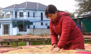 Người dân làng nghề làm hương ‘chạy hết công suất’ cho Tết
