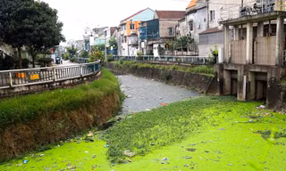 Con kênh bao quanh thành cổ Vinh đen đặc, bốc mùi: Đơn vị quản lý nói gì?