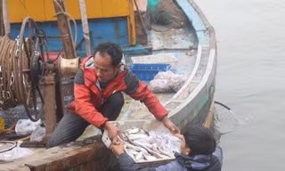 Cá tôm đầy khoang những ngày đầu năm mới