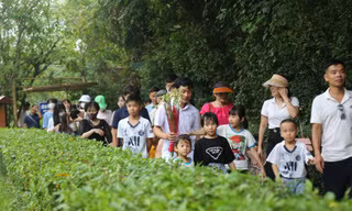 Dòng người hành hương về quê Bác trong ngày Tết Độc lập
