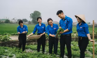Sắc xanh thanh niên, màu áo tôi yêu!