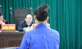 Chờ thi hành án vẫn đi lừa đảo, nữ quái bật khóc biện minh