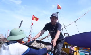 Ngư dân đón 'lộc biển' sau chuyến ra khơi đầu năm, tàu cập bờ là cháy hàng
