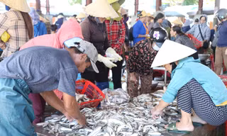 Tàu thuyền đầy ắp 'lộc biển', cảng cá nhộn nhịp mua bán 