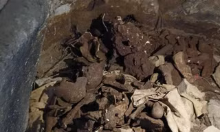Tiết lộ bất ngờ về 18 bộ xương, hộp sọ nghi của người được phát hiện trong hang đá ở Nghệ An