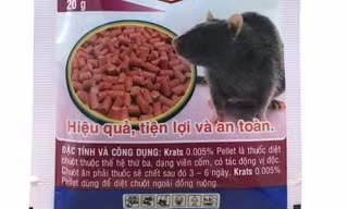Cô giáo mầm non ở Nghệ An nghi uống thuốc chuột tự tử