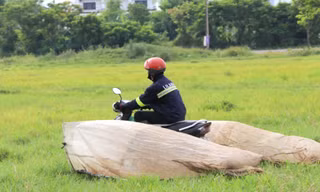 Vượt hơn 80km để săn châu chấu, nông dân Nghệ An kiếm tiền triệu mỗi ngày
